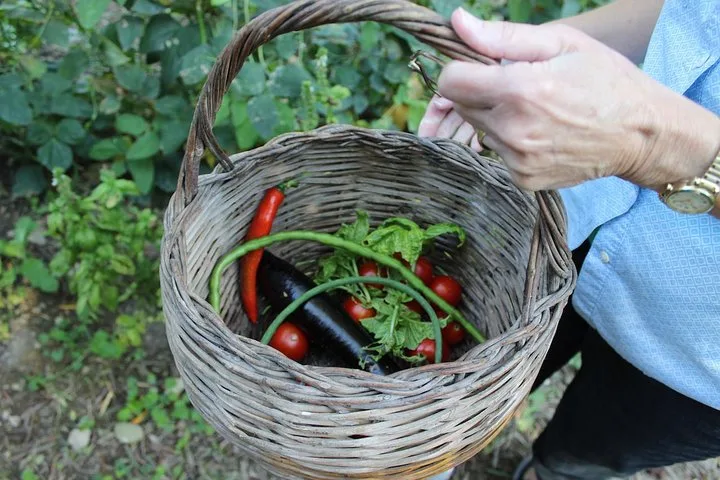 Privatkurs auf dem Bauernhof mit Abholung in Sorrent
